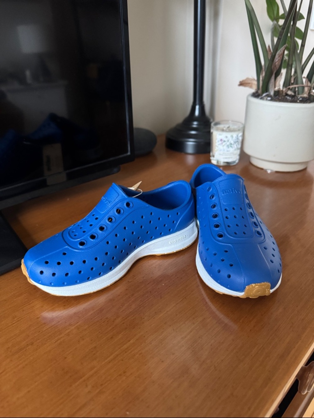 Native Kids Shoes - Victoria Blue/Shell White